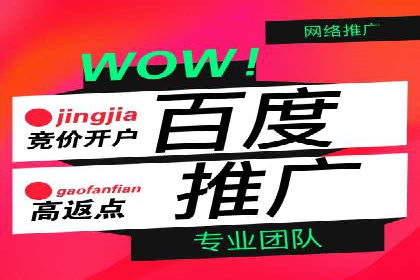 百度推广公司案例解析：如何通过百度推广实现品牌升级